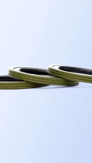 Factory Supply High Quality PTFE Gns/Bns/Oep Rotary Piston Seal for Hydraulic Cylinder